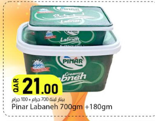 available at دانا ماركت in قطر - الشحانية
