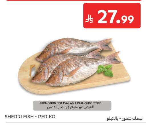 available at كارفور in مملكة العربية السعودية, السعودية, سعودية - جدة