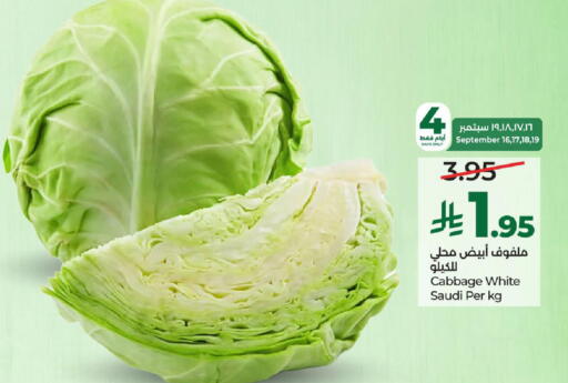 Cabbage from Saudi Arabia available at لولو هايبرماركت in مملكة العربية السعودية, السعودية, سعودية - الطائف