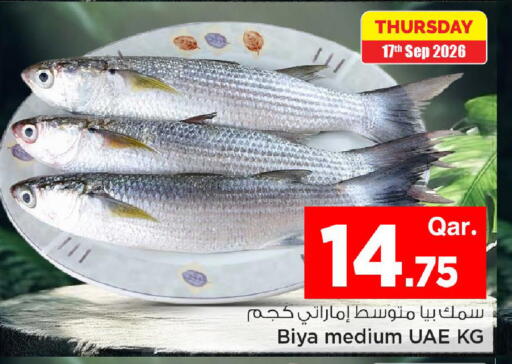 available at Mark & Save  in Qatar - Al Wakra