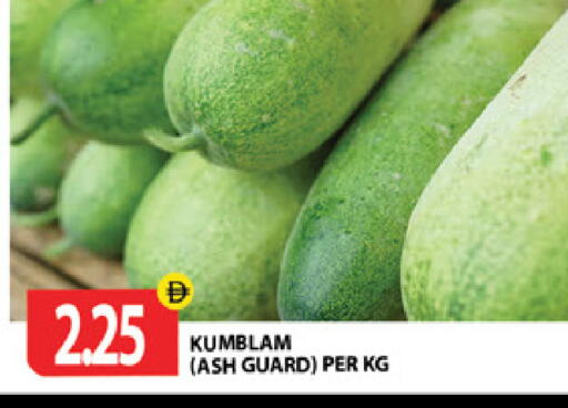 available at جلف هايبرماركت ذ.م.م in الإمارات العربية المتحدة , الامارات - رَأْس ٱلْخَيْمَة