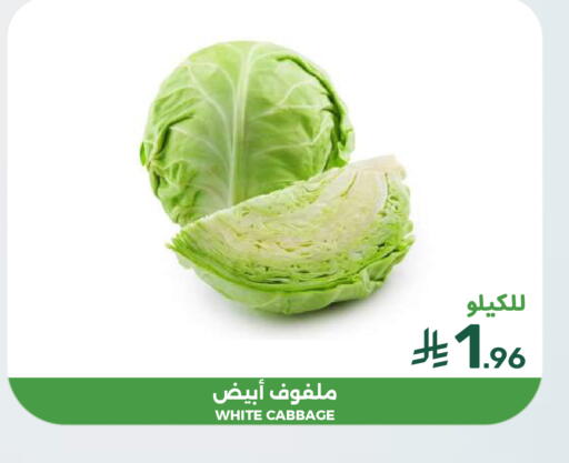 Cabbage available at  مـزايــا in مملكة العربية السعودية, السعودية, سعودية - القطيف‎