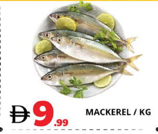 available at EXPRESS AL MADEENA HYPERMARKET LLC in UAE - Abu Dhabi