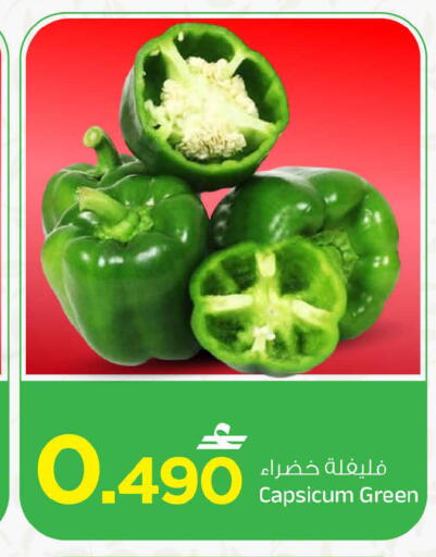 Capsicum available at مارك & سايف in عُمان - مسقط‎