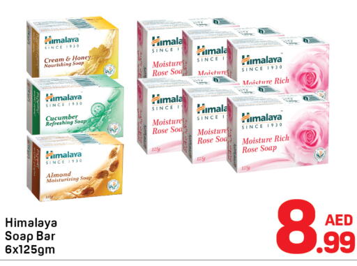 Cucumber available at Day to Day Department Store in UAE - Sharjah / Ajman