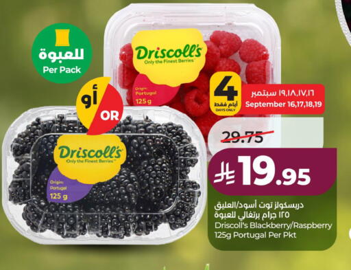 Blackberry Raspberry from Portugal available at لولو هايبرماركت in مملكة العربية السعودية, السعودية, سعودية - الخبر‎