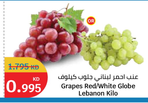 Grapes from Lebanon available at City Hypermarket in Kuwait - Kuwait City