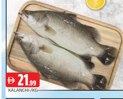available at AL MADINA in UAE - Sharjah / Ajman