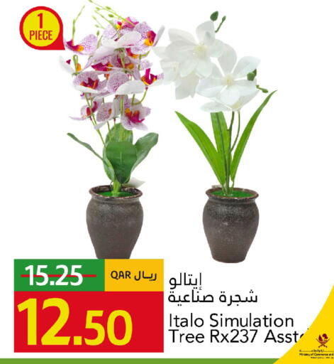available at Gulf Food Center in Qatar - Al Daayen