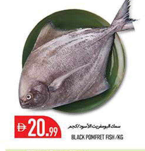 available at Rawabi Market Ajman in UAE - Sharjah / Ajman