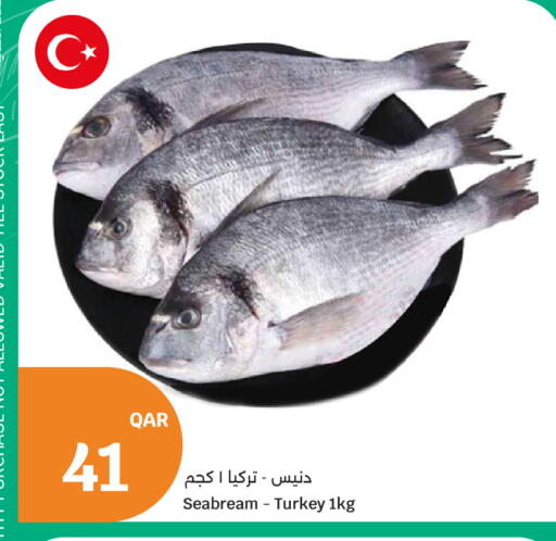 available at City Hypermarket in Qatar - Doha