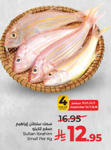 available at لولو هايبرماركت in مملكة العربية السعودية, السعودية, سعودية - حائل‎