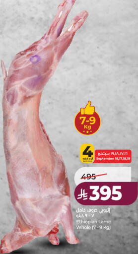 available at لولو هايبرماركت in مملكة العربية السعودية, السعودية, سعودية - حائل‎