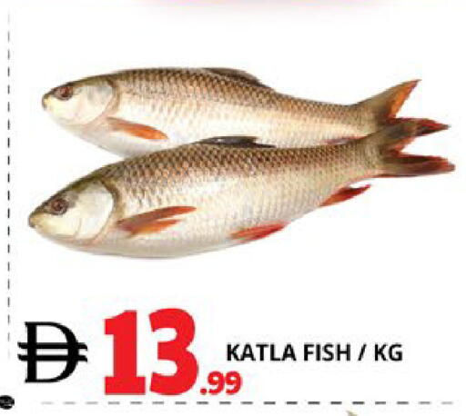 available at EXPRESS AL MADEENA HYPERMARKET LLC in UAE - Abu Dhabi