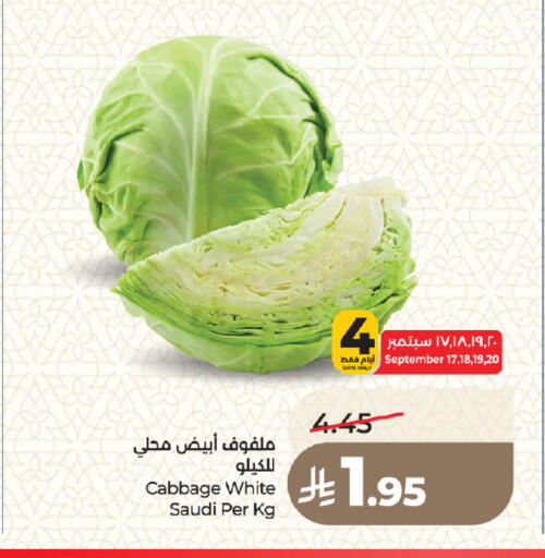 Cabbage from Saudi Arabia available at LULU Hypermarket in KSA, Saudi Arabia, Saudi - Medina
