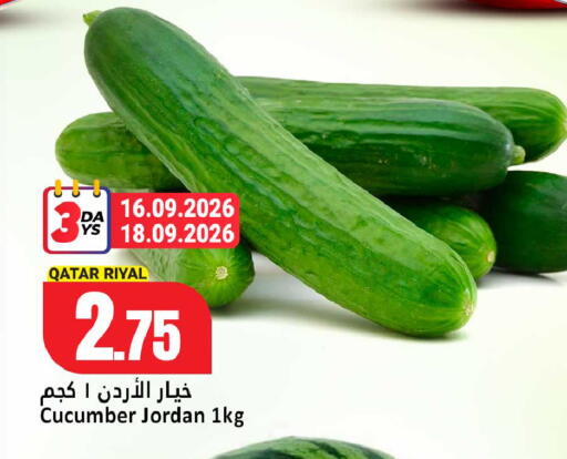Cucumber from Qatar Jordan available at دانة هايبرماركت in قطر - الخور