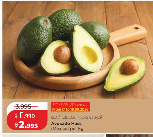 Avocado from Mexico available at Lulu Hypermarket  in Kuwait - Kuwait City