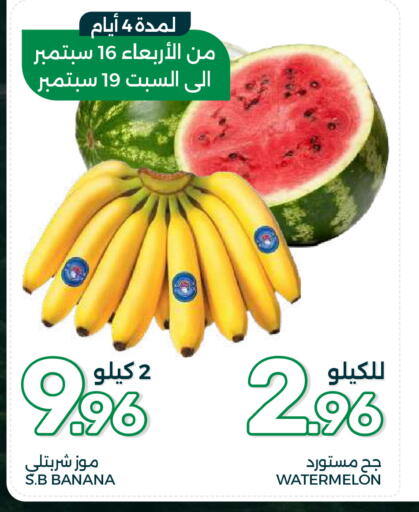 Banana Watermelon available at  مـزايــا in مملكة العربية السعودية, السعودية, سعودية - القطيف‎