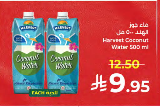 Coconut available at Kabayan Hypermarket in KSA, Saudi Arabia, Saudi - Jeddah