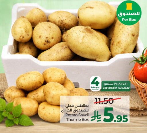 Potato from Saudi Arabia available at لولو هايبرماركت in مملكة العربية السعودية, السعودية, سعودية - الطائف