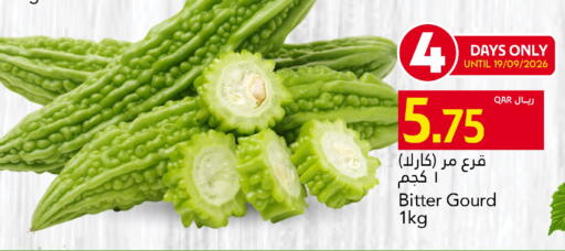 available at Gulf Food Center in Qatar - Doha