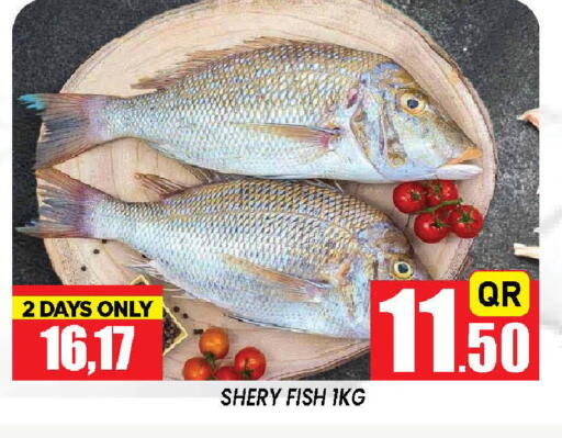available at دوحة ستوب انح شوب هايبرماركت in قطر - الريان