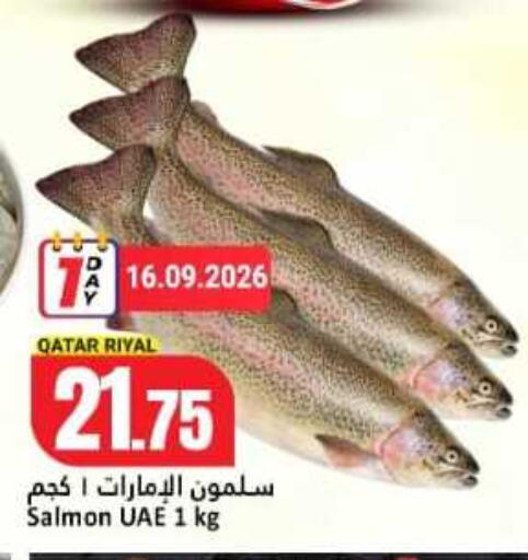 available at دانة هايبرماركت in قطر - الخور