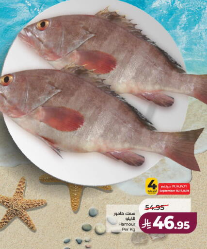 available at لولو هايبرماركت in مملكة العربية السعودية, السعودية, سعودية - الطائف