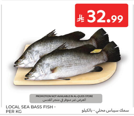 available at Carrefour in KSA, Saudi Arabia, Saudi - Sakaka