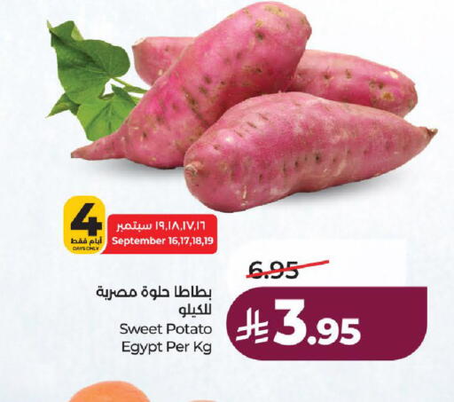 Sweet Potato from Egypt available at لولو هايبرماركت in مملكة العربية السعودية, السعودية, سعودية - الطائف