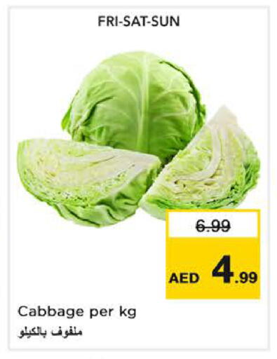 Cabbage available at Nesto Hypermarket in UAE - Dubai