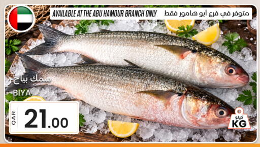 available at Al Baladi Al Yawm in Qatar - Al Wakra