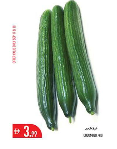 Cucumber available at Rawabi Market Ajman in UAE - Sharjah / Ajman