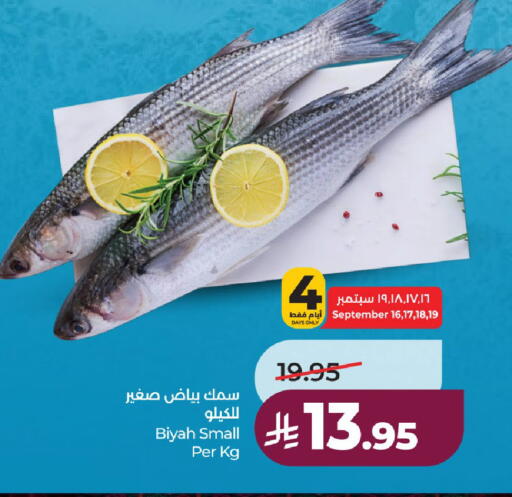 available at لولو هايبرماركت in مملكة العربية السعودية, السعودية, سعودية - حائل‎