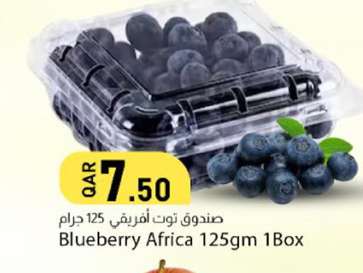 Blueberry BlueBerry available at Dana Market in Qatar - Doha