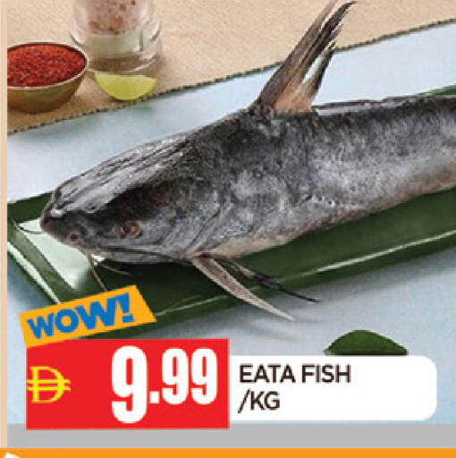available at AL MADINA in UAE - Sharjah / Ajman