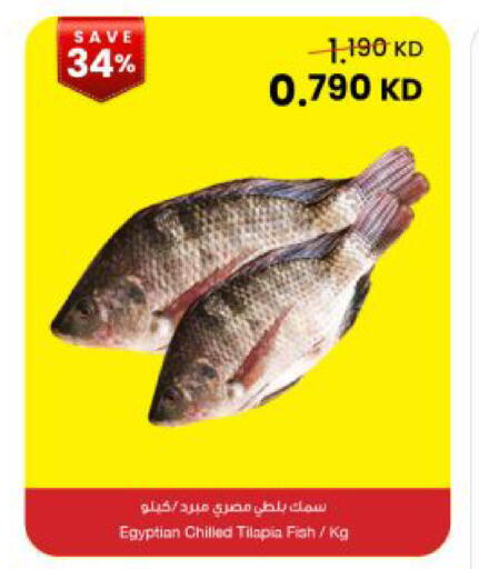 available at The Sultan Center in Kuwait - Kuwait City