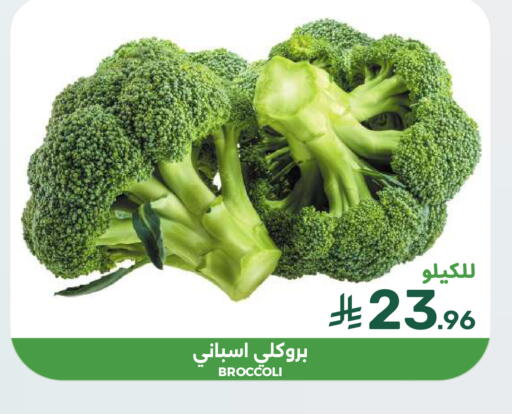 Broccoli available at  مـزايــا in مملكة العربية السعودية, السعودية, سعودية - القطيف‎