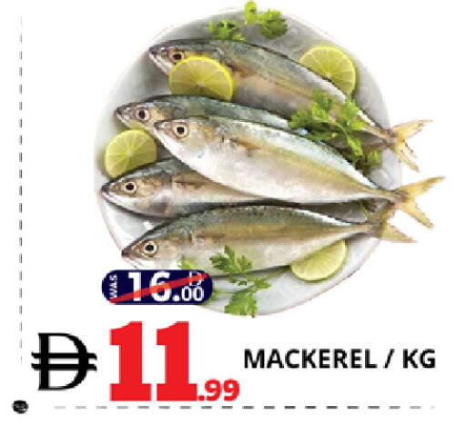 available at EXPRESS AL MADEENA HYPERMARKET LLC in UAE - Abu Dhabi