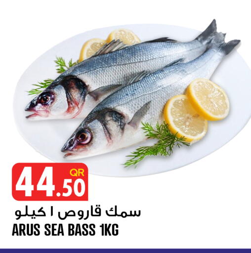 available at قصر الأغذية هايبرماركت in قطر - الوكرة