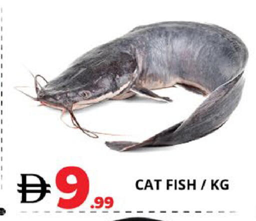 available at EXPRESS AL MADEENA HYPERMARKET LLC in UAE - Abu Dhabi