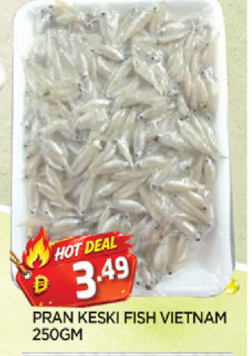 available at AL MADINA in UAE - Sharjah / Ajman