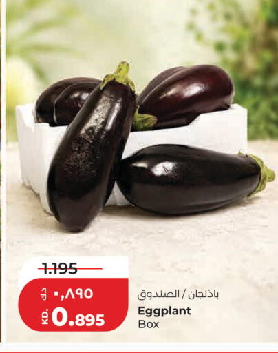 Eggplant available at Lulu Hypermarket  in Kuwait - Kuwait City