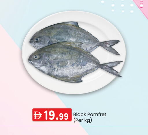 available at صفا اكسبريس سوبرماركت in الإمارات العربية المتحدة , الامارات - ٱلْعَيْن‎