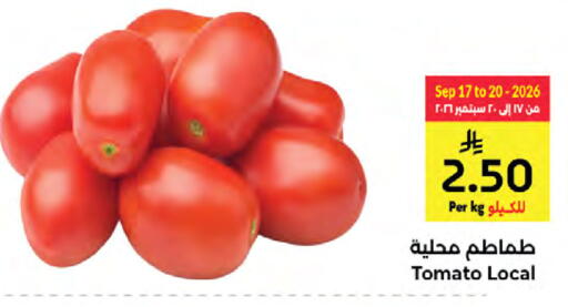 Tomato available at كبايان هايبرماركت in مملكة العربية السعودية, السعودية, سعودية - جدة