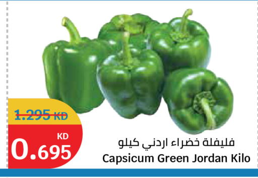 Capsicum from Jordan available at City Hypermarket in Kuwait - Kuwait City