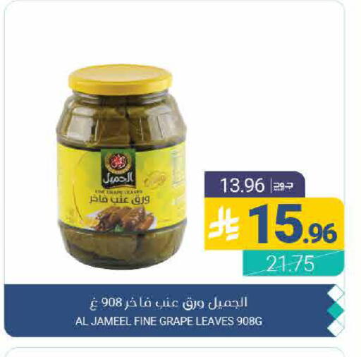 available at Muntazah Markets in KSA, Saudi Arabia, Saudi - Qatif