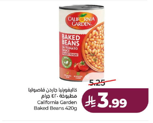 Tomato available at لولو هايبرماركت in مملكة العربية السعودية, السعودية, سعودية - حائل‎