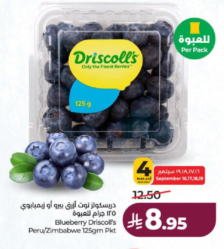 Blueberry BlueBerry from Zimbabwe available at لولو هايبرماركت in مملكة العربية السعودية, السعودية, سعودية - ينبع