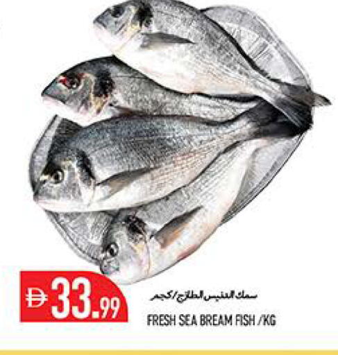 available at Rawabi Market Ajman in UAE - Sharjah / Ajman